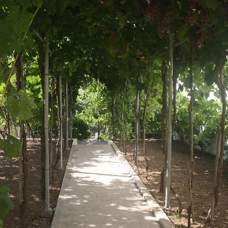 Villa Casatiomanel Amiais de Baixo Esterno foto